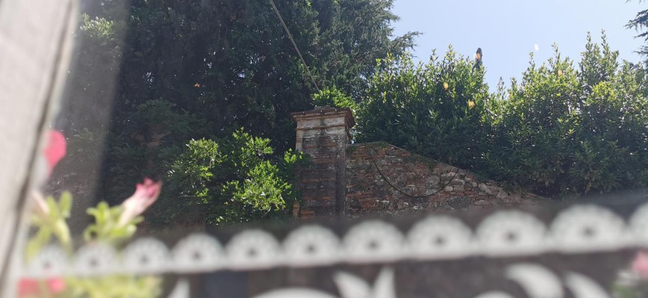 La Maison De Jardin Lucca Exterior foto