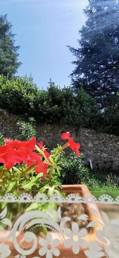 La Maison De Jardin Lucca Exterior foto